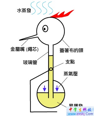 「飲水鳥」的結構
