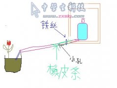 最简单的自动浇花机