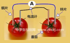 番茄电池