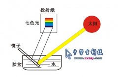 我把阳光分解了